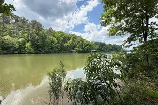 0 Hickory Pass, Sparta, GA 31087 - Photo 1