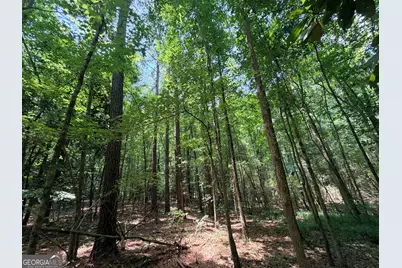 1150 Dogwood Road N, Woodville, GA 30669 - Photo 10