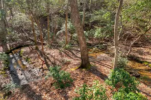 811 Magnums Trail, Blue Ridge, GA 30513 - Photo 32
