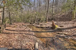 811 Magnums Trail, Blue Ridge, GA 30513 - Photo 34