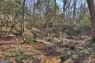 811 Magnums Trail, Blue Ridge, GA 30513 - Photo 38