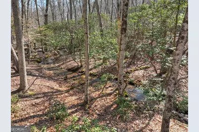 811 Magnums Trail, Blue Ridge, GA 30513 - Photo 30