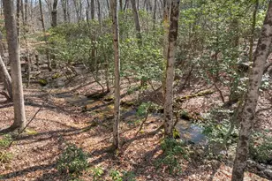 811 Magnums Trail, Blue Ridge, GA 30513 - Photo 30