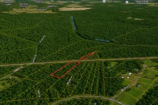 2 04 Acres Holmestown Loop Rd, Midway, GA 31320 - Photo 1