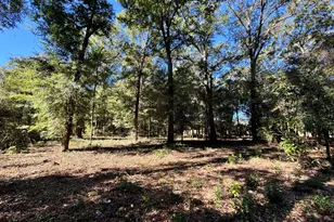 443 Fire Station Rd, Vienna, GA 31092 - Photo 32