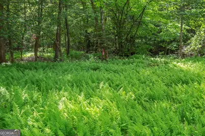 Lot 5-5A Jonica Gap Road, Mineral Bluff, GA 30559 - Photo 10