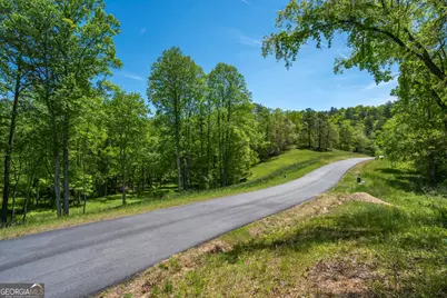 Lot 5-5A Jonica Gap Road, Mineral Bluff, GA 30559 - Photo 1