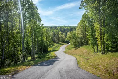 Lot 5-5A Jonica Gap Road, Mineral Bluff, GA 30559 - Photo 16