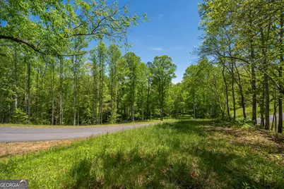 Lot 5-5A Jonica Gap Road, Mineral Bluff, GA 30559 - Photo 14