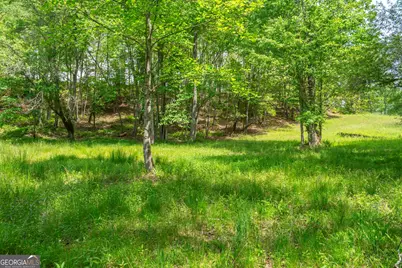 Lot 5-5A Jonica Gap Road, Mineral Bluff, GA 30559 - Photo 6