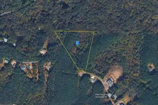 80 Fox Paw Leaf Ln, Ellijay, GA 30536 - Photo 1