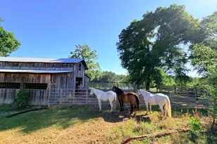 1525 Telfair Line Rd, Rhine, GA 31077 - Photo 44