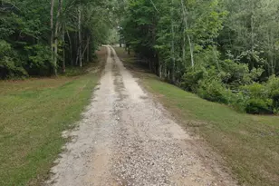 1525 Telfair Line Rd, Rhine, GA 31077 - Photo 80