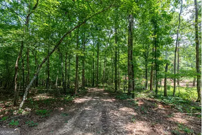 543 Faust Farm Road, Crawford, GA 30630 - Photo 8