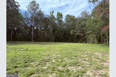 3980 Mosely Road Road, Claxton, GA 30417 - Photo 1