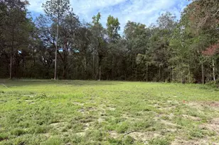 3980 Mosely Road Rd, Claxton, GA 30417 - Photo 1