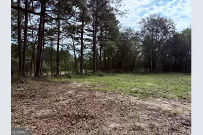 3980 Mosely Road Road, Claxton, GA 30417 - Photo 2