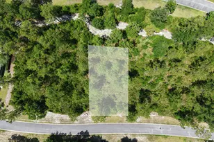 Lot 14 Blue Heron Trail, Waverly, GA 31565 - Photo 1
