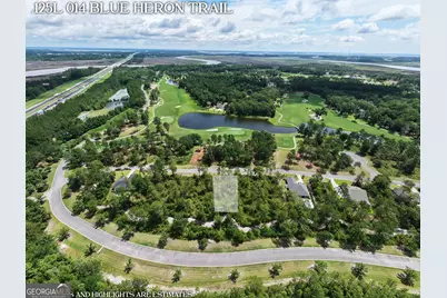 Lot 14 Blue Heron Trail, Waverly, GA 31565 - Photo 6