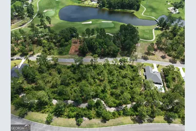 Lot 14 Blue Heron Trail, Waverly, GA 31565 - Photo 10