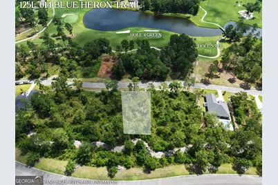Lot 14 Blue Heron Trail, Waverly, GA 31565 - Photo 4