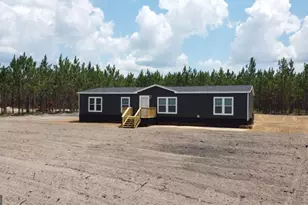 5246 Owens Rd, Blackshear, GA 31516 - Photo 20
