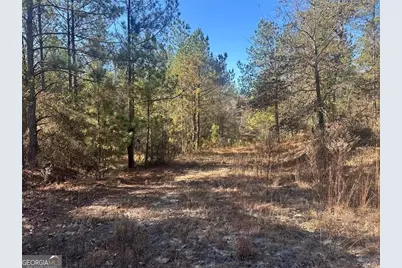 0 N Indian Trail Road, Sandersville, GA 31082 - Photo 14