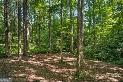 408 Mountain Creek Way #39, Ellijay, GA 30536 - Photo 18