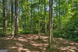 408 Mountain Creek Way, Ellijay, GA 30536 - Photo 18