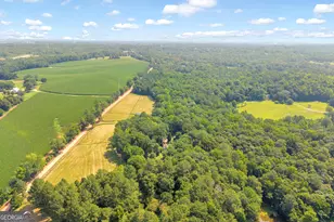 919 Arnold Bottoms Rd, Comer, GA 30629 - Photo 70