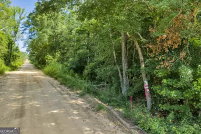 1 Rozar Goolsby Rd, Eastman, GA 31023 - Photo 12