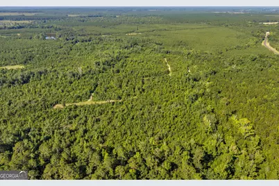 1 Rozar Goolsby Rd, Eastman, GA 31023 - Photo 14