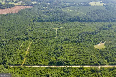 1 Rozar Goolsby Rd, Eastman, GA 31023 - Photo 2