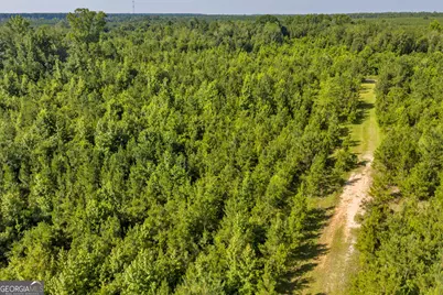 1 Rozar Goolsby Rd, Eastman, GA 31023 - Photo 4