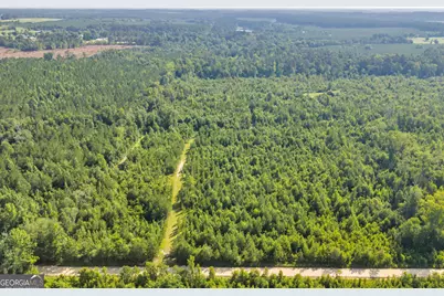 1 Rozar Goolsby Rd, Eastman, GA 31023 - Photo 8