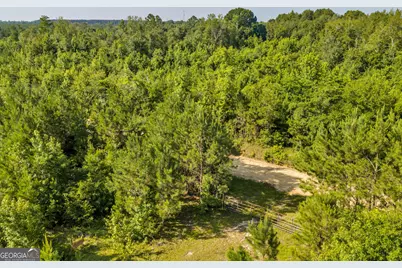 1 Rozar Goolsby Rd, Eastman, GA 31023 - Photo 6