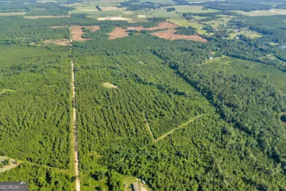 6 Rozar Goolsby Rd, Eastman, GA 31023 - Photo 6