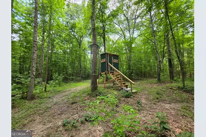 000 Court Ground, Washington, GA 30673 - Photo 26