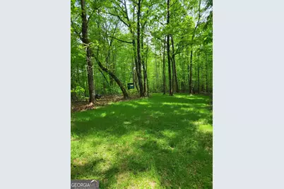000 Court Ground, Washington, GA 30673 - Photo 42