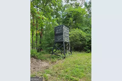 000 Court Ground, Washington, GA 30673 - Photo 20