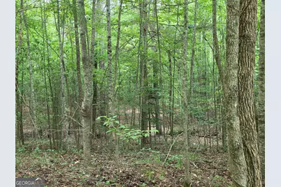 000 Court Ground, Washington, GA 30673 - Photo 24