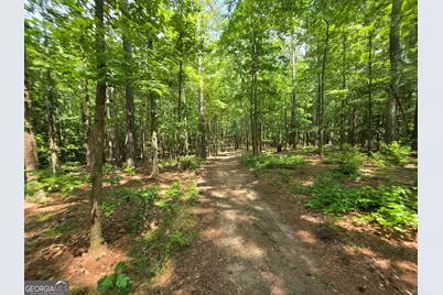 000 Court Ground, Washington, GA 30673 - Photo 40