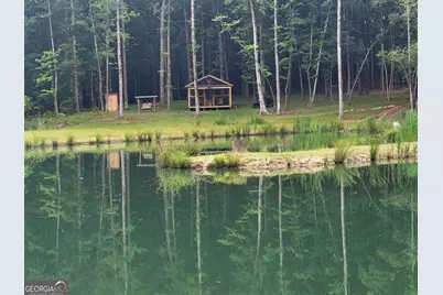 000 Court Ground, Washington, GA 30673 - Photo 14