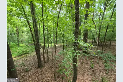 000 Court Ground, Washington, GA 30673 - Photo 34