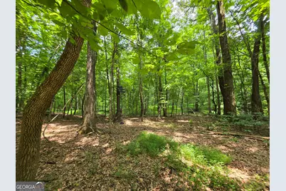 000 Court Ground, Washington, GA 30673 - Photo 32