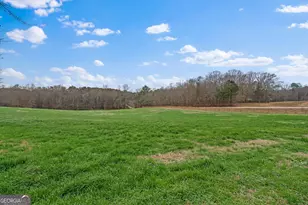 976 Salem Church Rd, Carrollton, GA 30117 - Photo 76