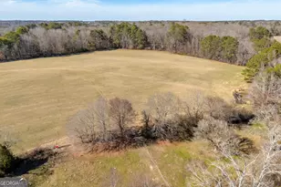 1681 Sibley School Rd, Greensboro, GA 30642 - Photo 1