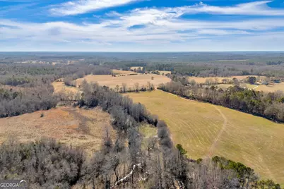 1681 Sibley School Road, Greensboro, GA 30642 - Photo 4