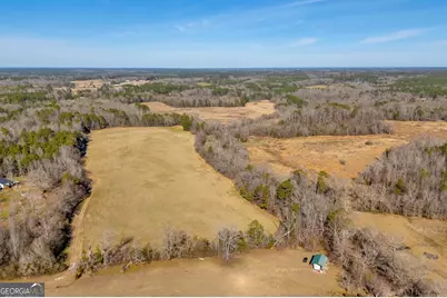 1681 Sibley School Road, Greensboro, GA 30642 - Photo 8