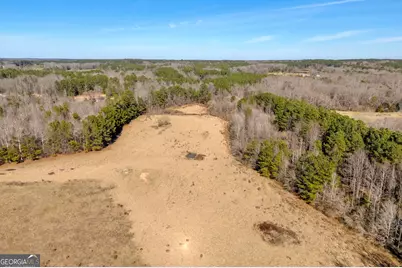 1681 Sibley School Road, Greensboro, GA 30642 - Photo 6